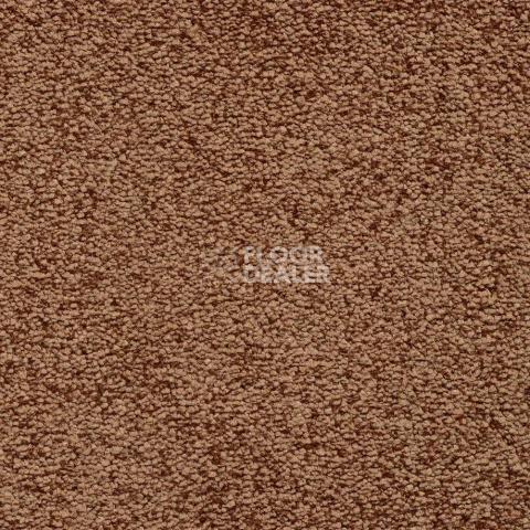 Ковролин Bonkeel Parliament Terracotta фото 1 | FLOORDEALER